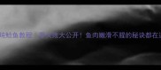 家常炖鲶鱼教程零失败大公开鱼肉嫩滑不腥的秘诀都在这