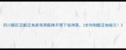 四川酸豇豆酸豆角家常菜酸辣开胃下饭神器3步自制酸豆角秘方