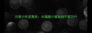 沙县小吃发展史从福建小城走向千家万户