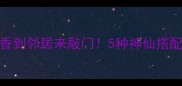 南瓜汤这样做香到邻居来敲门5种神仙搭配让全家抢着喝