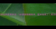 芥菜疙瘩丝的家常炒法3步掌握脆嫩秘诀配米饭绝了附详细教程