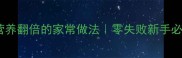 番茄炖牛肉汤营养翻倍的家常做法零失败新手必学的暖心汤品