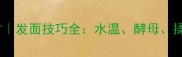 家庭自制松软馒头秘方发面技巧全水温酵母揉面手法如何影响口感