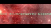 孜然炒羊肉新手必学的零失败家常做法配米饭香到舔盘