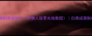 10种白菜腌制家庭秘方附懒人版零失败教程白菜咸菜制作全攻略