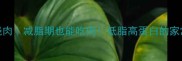 冬瓜烧肉减脂期也能吃肉低脂高蛋白的家常菜