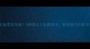 湖北鱼菜天花板5种湖北人私藏做法鲜掉眉毛的家乡味