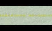 懒人必看5道低脂高蛋白清淡炒菜谱厨房小白也能3分钟搞定减脂餐