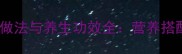 冬虫夏草汤的家常做法与养生功效全营养搭配技巧与选购指南