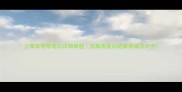 上海本帮菜莲白详细教程低脂高蛋白的家常做法大全