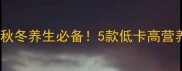 隔水炖罐懒人食谱大全秋冬养生必备5款低卡高营养罐子做法附搭配攻略