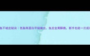 香煎草鱼不破皮秘诀低脂高蛋白平锅做法鱼皮金黄酥脆新手也能一次成功