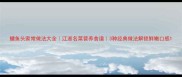 鳙鱼头家常做法大全江浙名菜营养食谱3种经典做法解锁鲜嫩口感