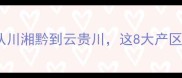 中国辣椒排行榜从川湘黔到云贵川这8大产区的辣椒美食地图全