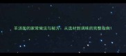 羊汤面的家常做法与秘方从选材到调味的完整指南