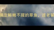 蒸鱼界天花板3步搞定鲜嫩不腥的草鱼连老饕都夸的秘方大公开