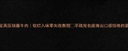 3步搞定高压锅酱牛肉软烂入味零失败教程手残党也能做出口感惊艳的家常菜